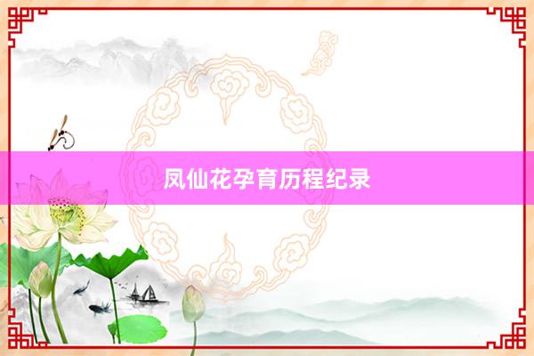 凤仙花孕育历程纪录