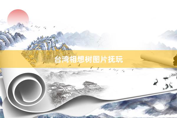 台湾相想树图片抚玩