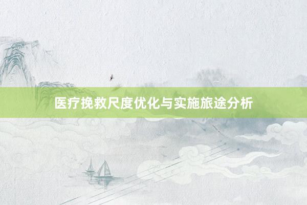 医疗挽救尺度优化与实施旅途分析