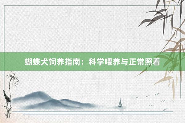 蝴蝶犬饲养指南：科学喂养与正常照看