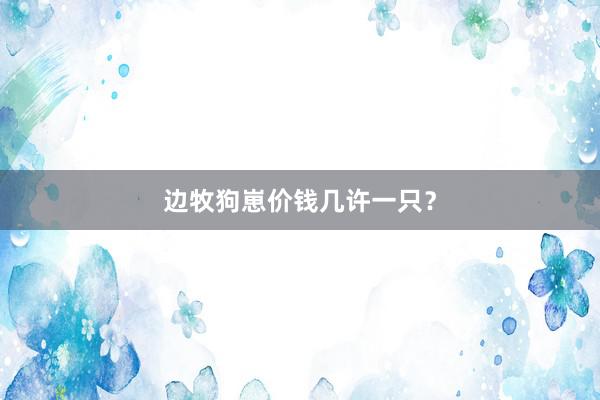 边牧狗崽价钱几许一只？